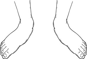 PedFlat01.jpg