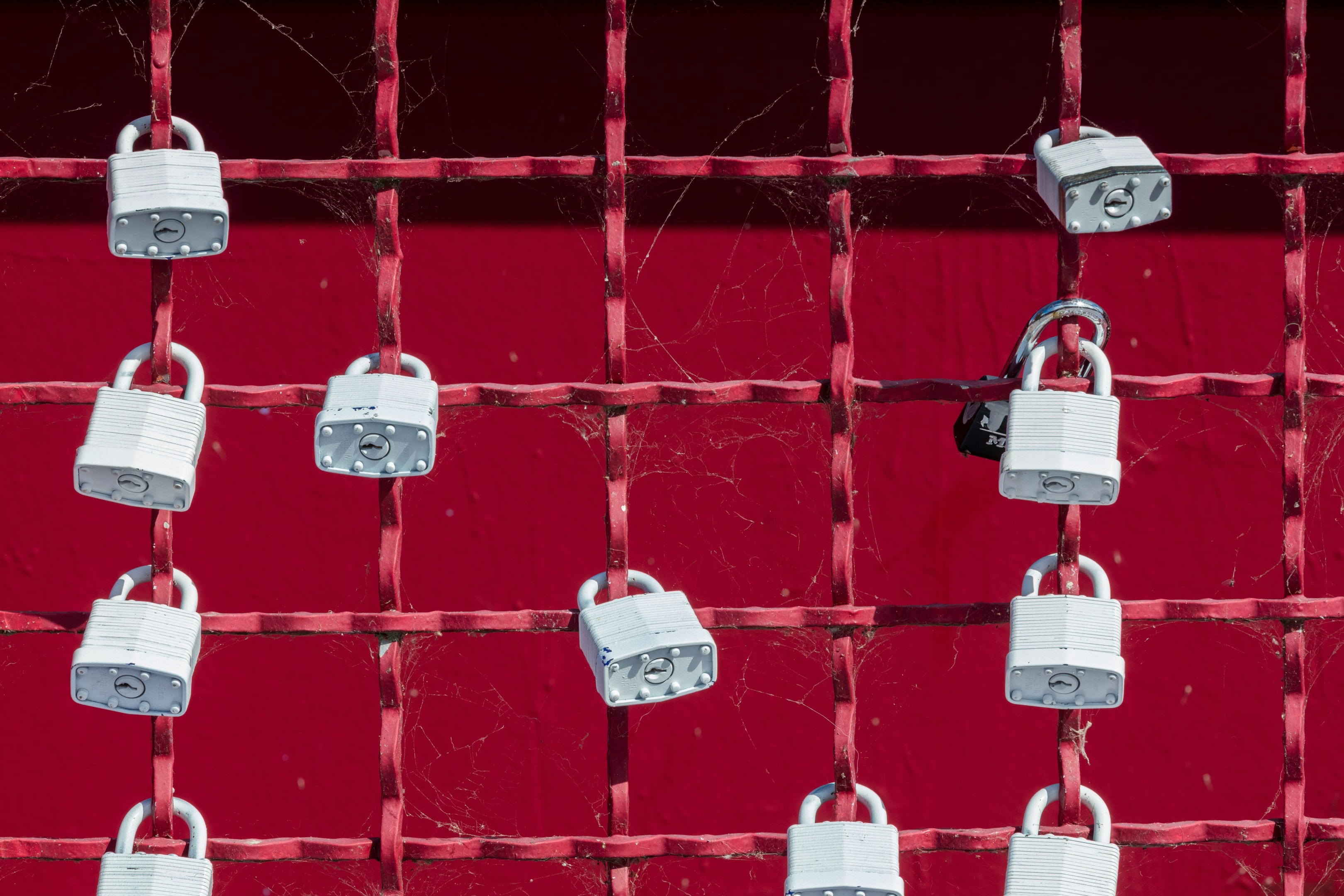 Red metal grid with several silver padlocks illustrating reputation management